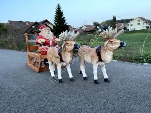 2er Rentier-Schlitten Gespann mit Weihnachtsmann 160cm