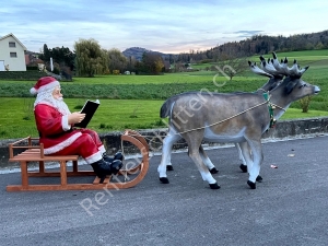 4,5m lang, XXL Weihnachtsdeko draussen: 2 Rentiere, Schlitten, Nikolaus mit Buch 5