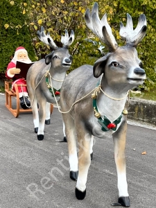 4,5m lang, XXL Weihnachtsdeko draussen: 2 Rentiere, Schlitten, Nikolaus mit Buch 3