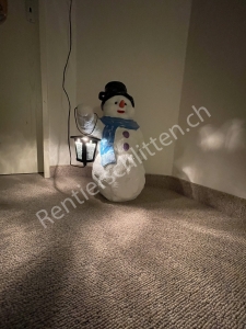 Beleuchteter Deko-Schneemann, 49 cm hoch, für draussen