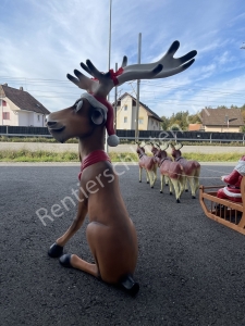 Rudolf Rentier sitzend, Kopf schräg, als Weihnachtsdekoration für draussen