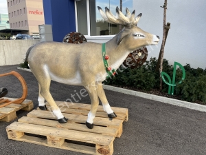 Rentier lebensgross, 150 cm lang, passend zu Weihnachtsmann mit Rentier-Schlitten