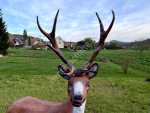 Als Weihnachtsbeleuchtung Hirsch: XL Hirsch Weihnachtsdeko, 114 cm hoch 4