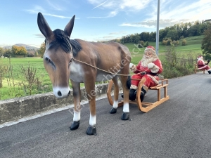 Lebensgrosser Esel mit Schlitten und Samichlaus, von Vorne