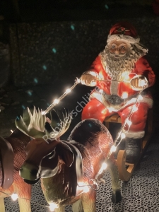 Weihnachtsbeleuchtung Rentier mit Schlitten mit LED Zügel