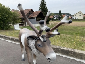XXL Rentier lebensgross, mit Santa Claus auf Schlitten als Weihnachtsdeko aussen