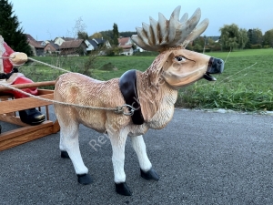 Schönes Rentier mit Schlitten als Weihnachtsdeko draussen