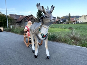 Schönes, lebensgrosses Rentierschlitten -Gespann mit Weihnachtsmann auf dem grossen Rentierschlitten, für die Weihnachtsdeko aussen