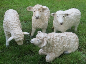 Für grosse Weihnachskrippen: 4-er Gruppe Schafe, bis 43cm hoch 1