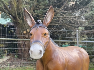 Zu grosse Weihnachtskrippe draussen, Deko Esel gross, 94cm hoch 5