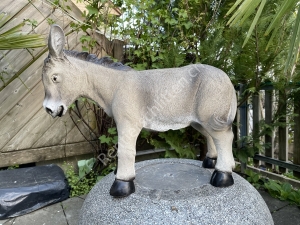 Zur grossen Krippe für aussen: Eselkind stehend, 41 cm hoch 2